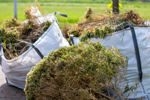 Best Carpet Removal and Disposal  in Arthurtown, SC